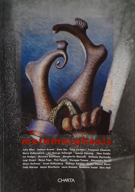Gian Ferrari Claudia Brusatin Manlio METAMORPHOSIS... - Copertina