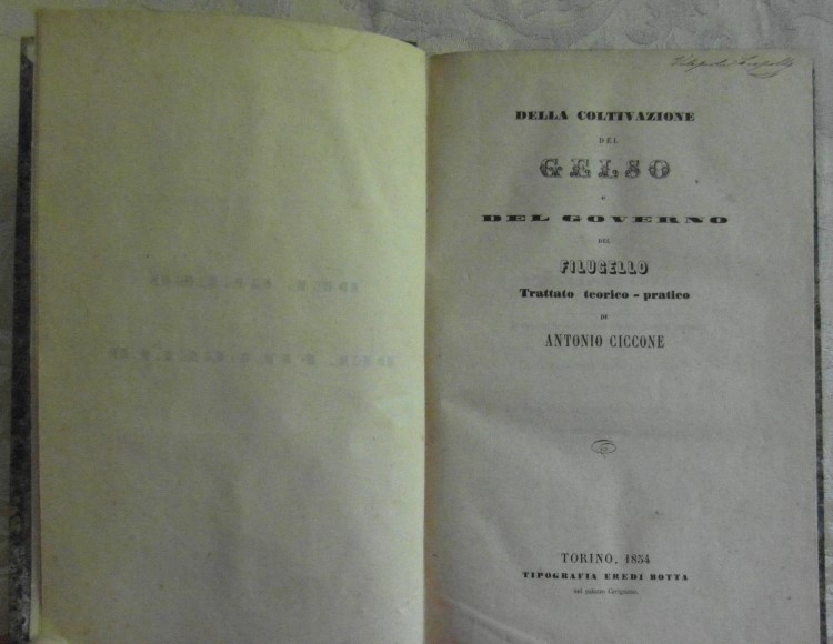 Ciccone Antonio DELLA COLTIVAZIONE DEL GELSO E DEL... - Copertina