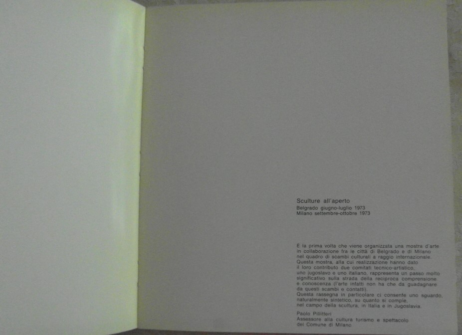  SCULTURE ALL'APERTO. - Copertina