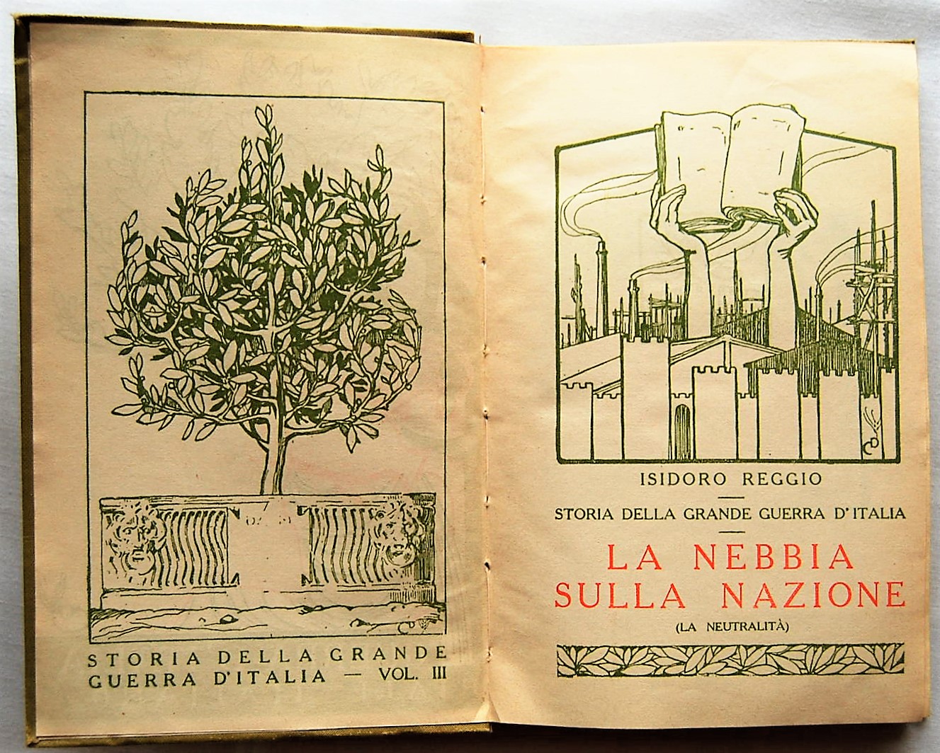 Reggio Isidoro LA NEBBIA SULLA NAZIONE. (LA ... - Copertina