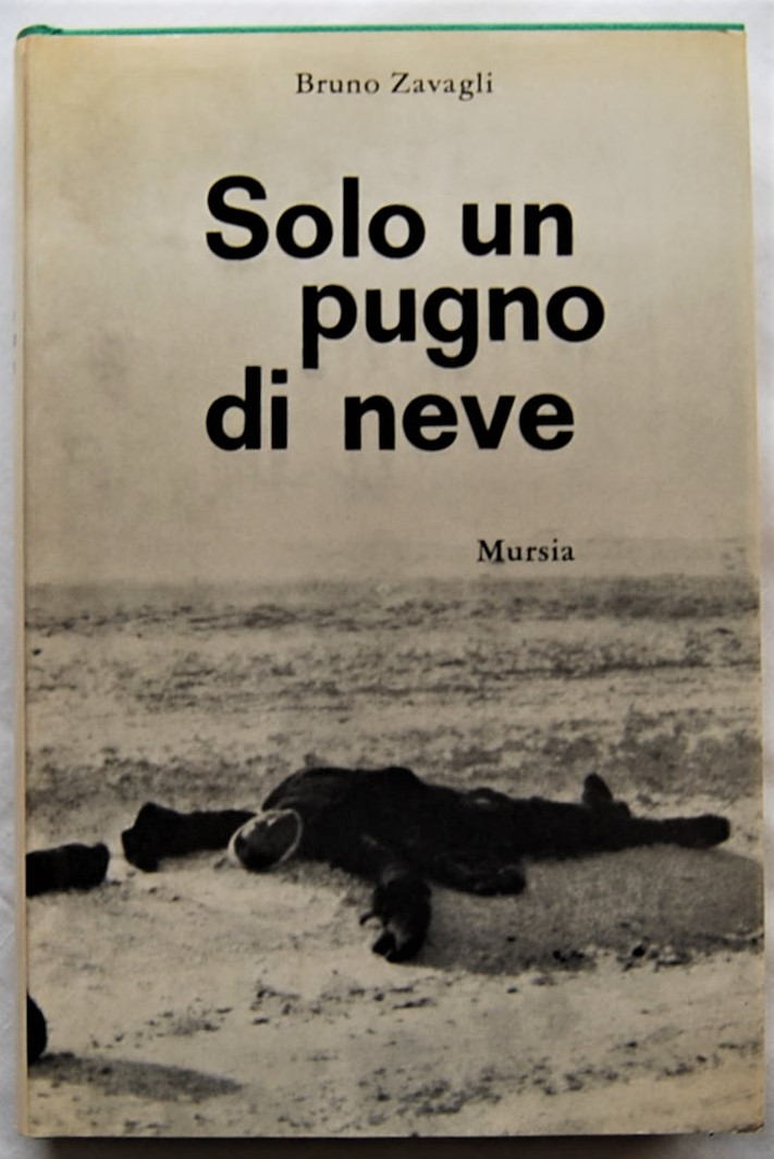 Zavagli Bruno SOLO UN PUGNO DI NEVE. - Copertina