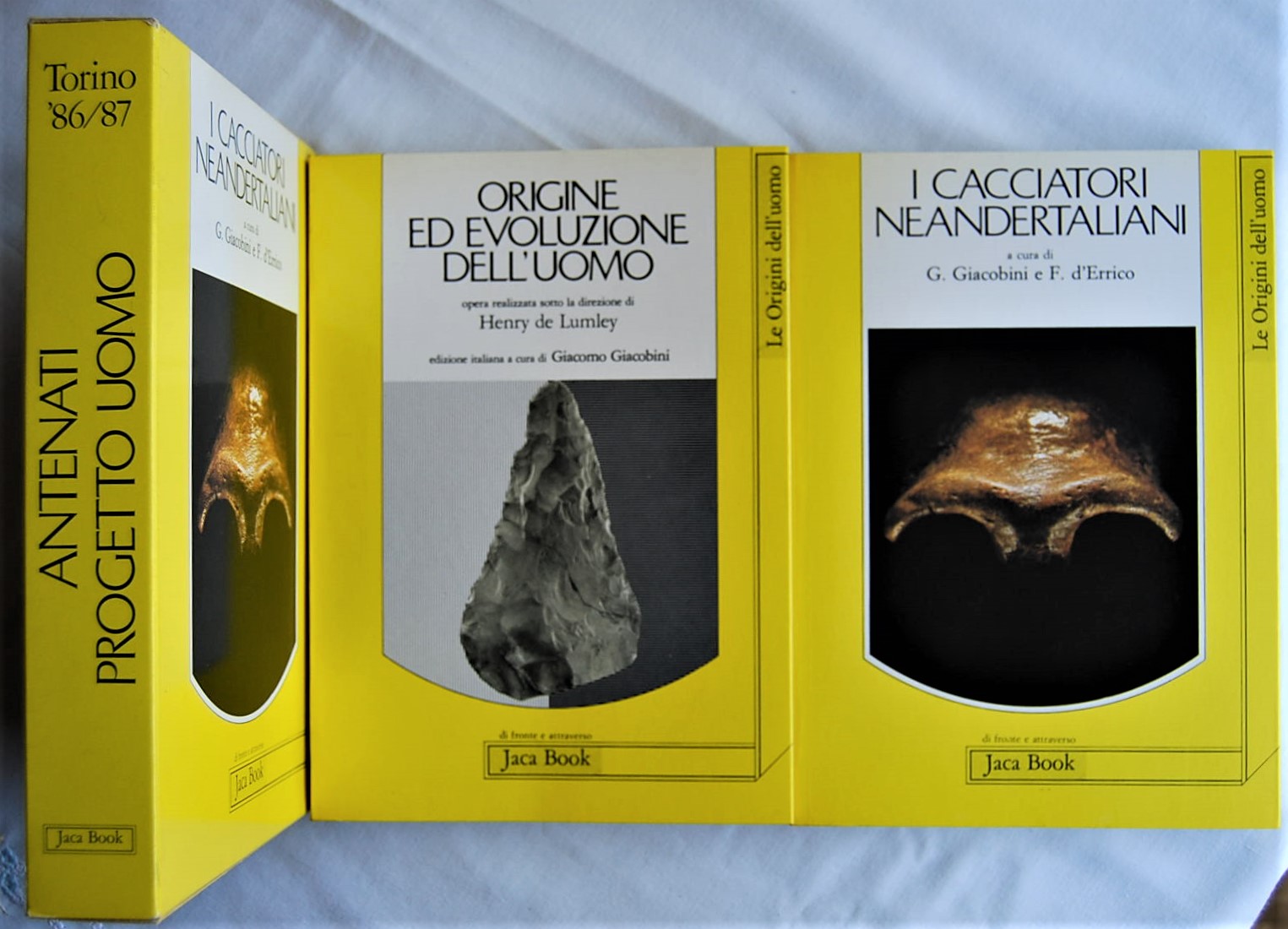 De Lumley H. Giacobini G. D'Errico F. ORIGINE ED ... - Copertina