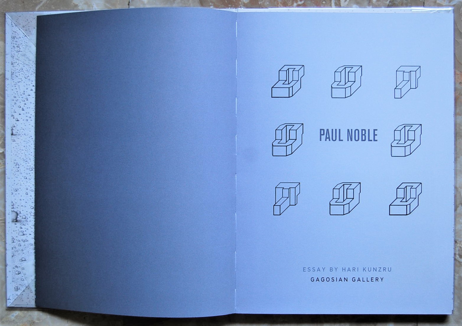 Kunzru Hari PAUL NOBLE. - Copertina
