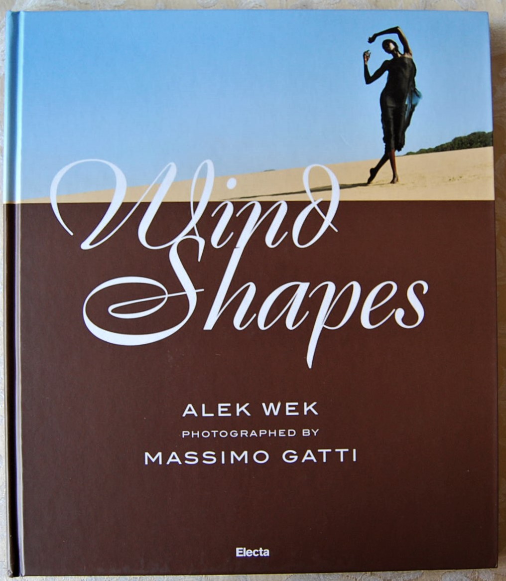 Gatti Massimo WIND SHAPES. - Copertina