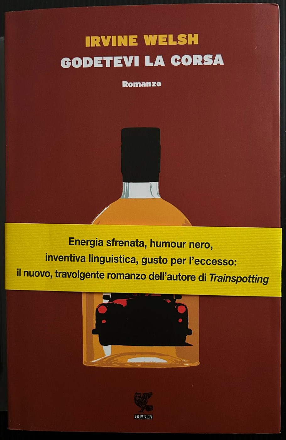 Welsh Irvine GODETEVI LA CORSA. - Copertina