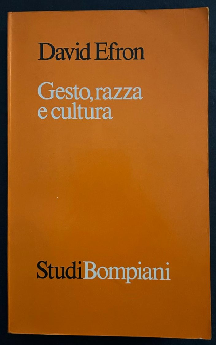 Efron David GESTO, RAZZA E CULTURA. - Copertina