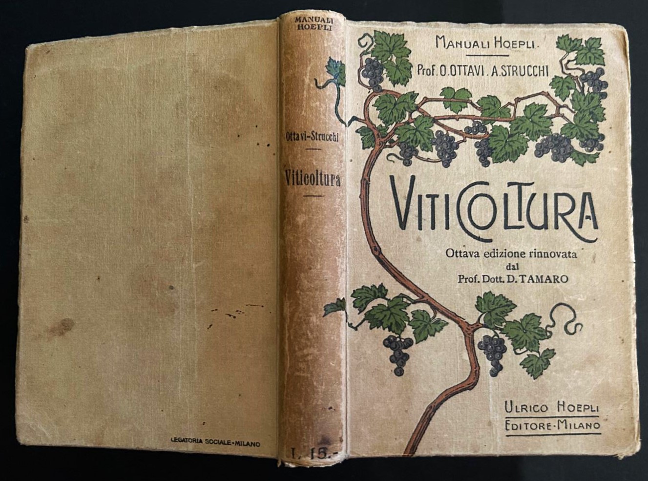 Ottavi O. Strucchi A. VITICOLTURA. - Copertina